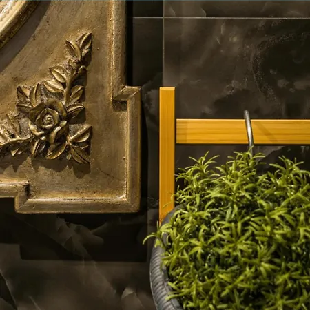 Rue De Satory Prestige